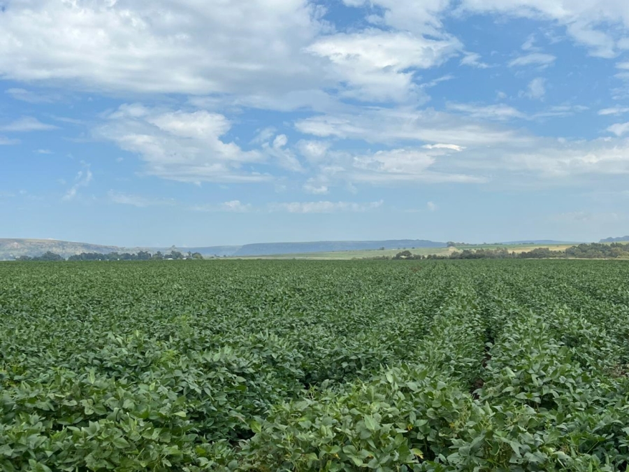 6 Bedroom Property for Sale in Ladybrand Rural Free State